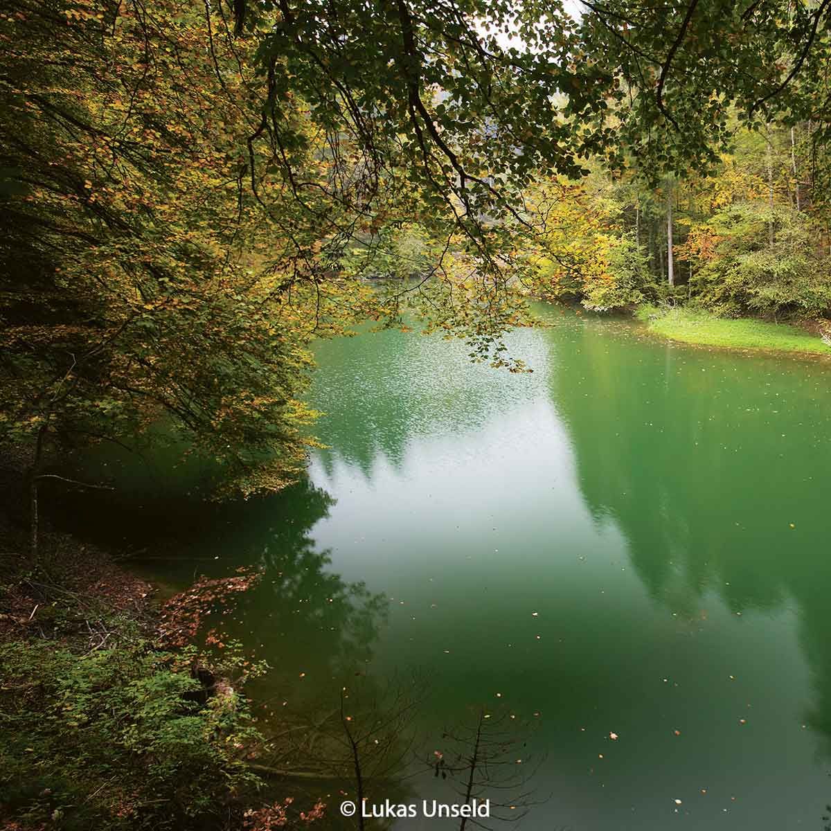 Wissbach